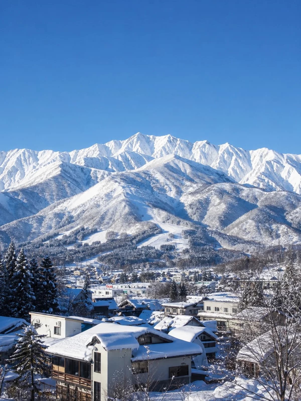 Tokyo to Hakuba ski transfer